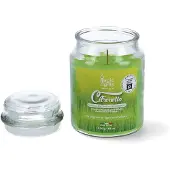 Magic Lights Vela De Citronela 510ml
