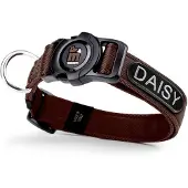 My Family Collar Para Perro Memopet Id