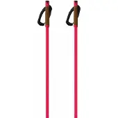 Fischer Bastones Storm Gtx S