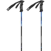 Gabel Bastones R Carbon Pro