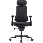 Libernovo Silla De Escritorio Ergonómica Omni Pro