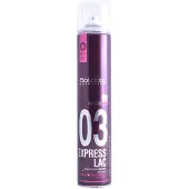 Salerm Proline 03 Express Spray 650ml