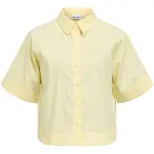 Object Camisa