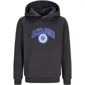 Jack & Jones Kids Jack & JonesSudadera Con Capucha Boys164Gris