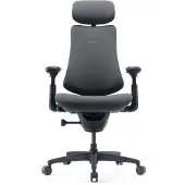 Libernovo Silla Plegable Omni Gen
