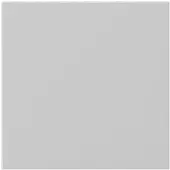 Gira Accesorios giratorios, pintura mate, interruptor