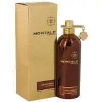 Montale Eau De Parfum Aoud Forest Vapo 100ml