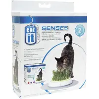 Catit Senses Grass Garden Recambio - 2 x 70 gramos