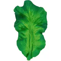 Oli&carol Mordedor Kendall The Kale