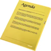 Esselte Fundas abiertas amarillas A4 | 100 unidades
