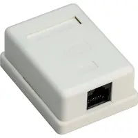 Goobay Caja de conexión CAT 6 UTP, con conector RJ45, 1 puerto