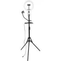 StudioKing LED Juego para Vlog SK-K190 con Lámpara de Anillo y Soporte para Micrófono