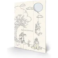 Pyramid Pintura Disney Winnie The Pooh Splendiferous