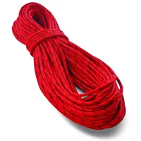 Tendon - Pro Work 10.5 - Cuerda estática size 50 m, rojo
