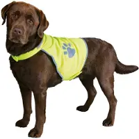 Trixie Chaleco reflectante de seguridad para perros , talla XS, color amarillo neón, con elementos reflectantes y ajustable