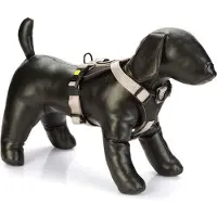 Beeztees Arnés Para Perros Premium Parinca Y