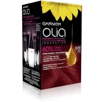 Garnier Tinte Para El Cabello N 6.6