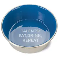 Beeztees Cuenco Para Gatos Talents