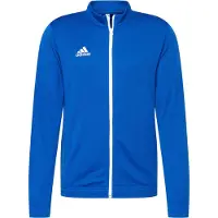 Adidas adidasChaqueta Entrada 22 XS Royal Blue Hombre