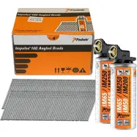 Paslode Paquete de 2000 clavos 300271 F16 galvanizados con gas, longitud 38 mm