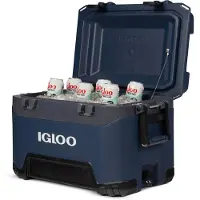 Igloo Coolers Nevera Portátil Rígida Bmx 52 49l