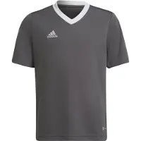 Adidas adidasCamiseta Entrada 22 116 Team Grey Four Niño