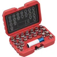 vidaXL Juego de 21 piezas para desmontar candados de llantas, compatible con BMW