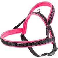 Ferplast Arnés Para Perros Sport