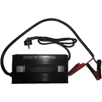 Zasdar Cargador Lifepo4 30a