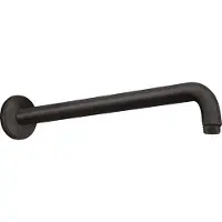 Hansgrohe Codo roscado DN 15, 389 mm, 90 grados, color mate