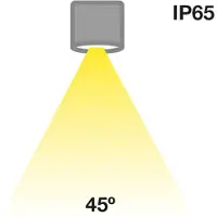 The Light Group SLC MiniOne Fixed LED downlight IP65 negro 927