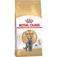 Royal Canin Adult Bengal - Comida para Gatos - 10 kg