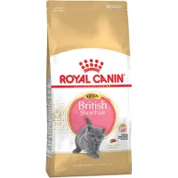 Royal Canin British Shorthair Kitten - 2 kg