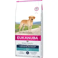 Eukanuba , alimento seco para perros adultos de raza Labrador Retriever - 12 kg