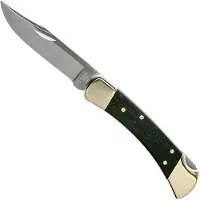 Buck Knives Navaja Folding Hunter 110, leather belt pouch