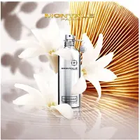 Montale Eau De Parfum Fantastic Basilic 100ml