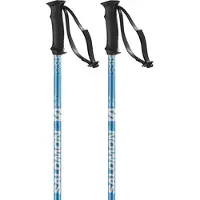 Salomon Bastones Rental Anodized