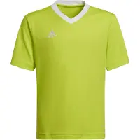 Adidas adidasCamiseta Entrada 22 116 Team Semi Sol Yellow Niño