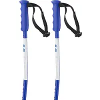 Salomon Bastones Junior S/race Sg