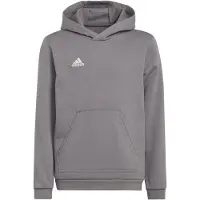 Adidas adidasSudadera con capucha Entrada 22 140 Team Grey Four Niño