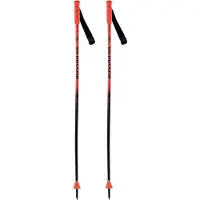 Rossignol Bastones Junior Hero Gs