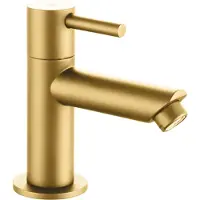 Aloni Grifo de agua fría , acabado dorado cepillado, 1/2"