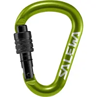Salewa - HMS Screw G2 - Mosquetones HMS size Small, multicolor