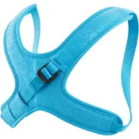 Edelrid - Kid's Kermit II - Arnés de pecho size XXS, azul