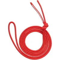 Austrialpin - Dyna.MIT Dyneema Sling 6mm - Cordinos size 290 cm, rojo