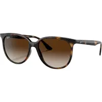 Ray-Ban - Marcas - RB4378 Polished Havana Gradient Brown - Marrón