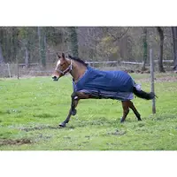 Ekkia EQUITHÈME TYREX 600 D: Manta para caballos, manta impermeable, manta para exteriores. Peso: 0 g. Color: azul marino/gris. Talla: longitud del lomo 145 cm. Relleno: fibra de poliéster (0 g)