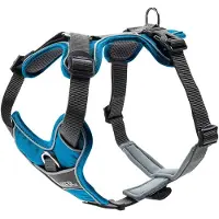 Hunter - Harness Divo - Arnés para perro size Hals 30-42 cm, Bauch 52-68 cm - Breite 2,0 cm, lightblue /gris