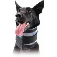 Kvp Collar Para Perro Bite Free