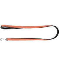Gloria Correa Para Perro Leather Padded